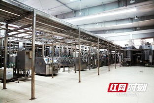 優(yōu)氏乳業(yè) 以“寧鄉(xiāng)智造”技術(shù)服務(wù)，助力國家學(xué)生飲用奶計(jì)劃，引領(lǐng)健康食品產(chǎn)業(yè)創(chuàng)新